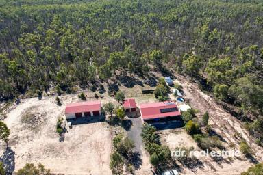 Lifestyle For Sale - NSW - Inverell - 2360 - COUNTRY LIVING STARTS HERE  (Image 2)
