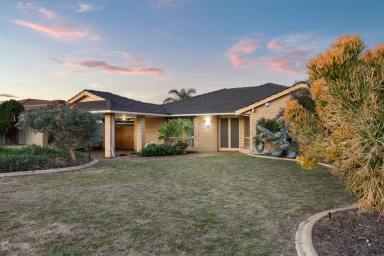 House For Sale - WA - Alexander Heights - 6064 - Spacious Family Living with Incredible Views in a Whisper-Quiet Cul-de-Sac! (Image 2)