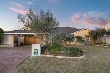 House For Sale - WA - Alexander Heights - 6064 - Spacious Family Living with Incredible Views in a Whisper-Quiet Cul-de-Sac! (Image 2)