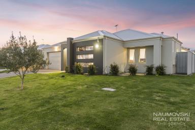 House For Sale - WA - Balcatta - 6021 - SUPERB FAMILY HOME IN AN UNBEATABLE LOCATION!  (Image 2)