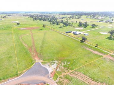 Residential Block For Sale - NSW - Parkes - 2870 - Rare 10-Acre Lifestyle Lot in Old Pine Estate  (Image 2)