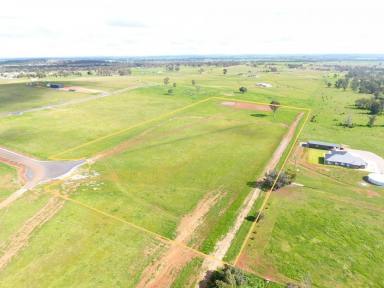 Residential Block For Sale - NSW - Parkes - 2870 - Rare 10-Acre Lifestyle Lot in Old Pine Estate  (Image 2)