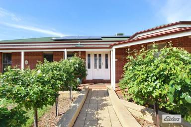 House For Lease - VIC - Lockwood South - 3551 - Lifestyle Living on 26 Acres  (Image 2)