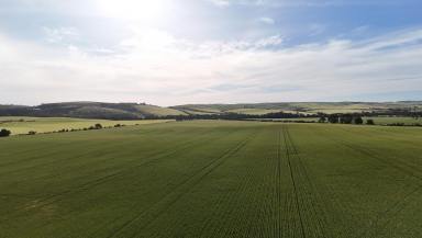 Cropping For Sale - SA - Huddleston - 5523 - 'The Gap'  (Image 2)