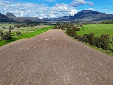 Other (Rural) For Sale - NSW - Edgeroi - 2390 - THE GLEN/308 Allambie Road  (Image 2)