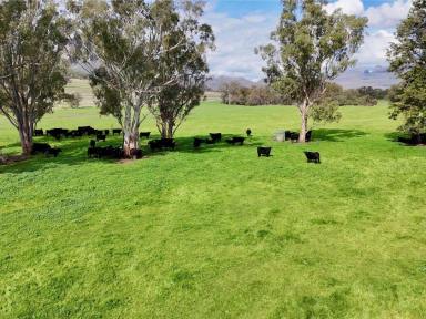 Other (Rural) For Sale - NSW - Bellata - 2397 - THE GLEN/308 Allambie Road  (Image 2)
