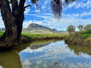 Other (Rural) For Sale - NSW - Edgeroi - 2390 - THE GLEN/308 Allambie Road  (Image 2)