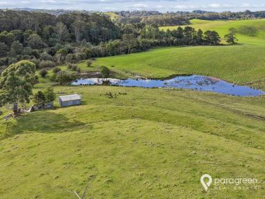 Lifestyle For Sale - VIC - Toora North - 3962 - Build Your Dream Home on 9.1 Acres of Peaceful Country Living  (Image 2)