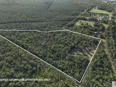 Residential Block For Sale - QLD - Cardwell - 4849 - Private Acreage Living Just Minutes from the Coast  (Image 2)
