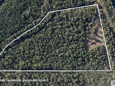 Residential Block For Sale - QLD - Cardwell - 4849 - Private Acreage Living Just Minutes from the Coast  (Image 2)
