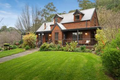 Lifestyle For Sale - VIC - Cheshunt - 3678 - A Rare Lifestyle Retreat – 42 Acres of Natural Beauty with Income Potential (Image 2)
