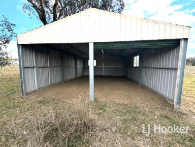 Residential Block For Sale - NSW - Ashford - 2361 - 2 Hectare Building Block.  (Image 2)