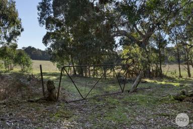 Residential Block For Sale - VIC - Linton - 3360 - Beautiful Country Block In An Excellent Location (Image 2)