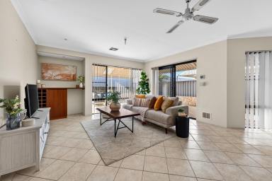 House For Sale - WA - Currambine - 6028 - The Complete Family Package in the Heart of Currambine!  (Image 2)