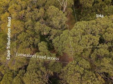 Land/Development For Sale - QLD - Daintree - 4873 - Rare Vacant Commercial Lot  (Image 2)
