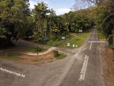 Land/Development For Sale - QLD - Daintree - 4873 - Rare Vacant Commercial Lot  (Image 2)