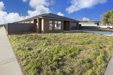 House For Sale - VIC - Swan Hill - 3585 - Brand New, Stylish & Ready to Enjoy (Image 2)