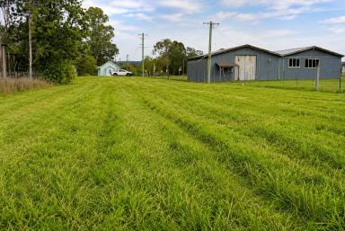 Residential Block For Sale - NSW - Tabulam - 2469 - Rare Large Block in the Heart of the Village (Image 2)