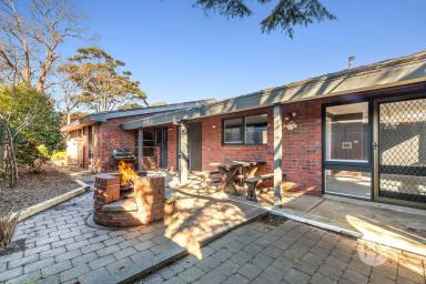 House For Sale - VIC - Mount Eliza - 3930 - Large Family Home with Potential (Image 2)