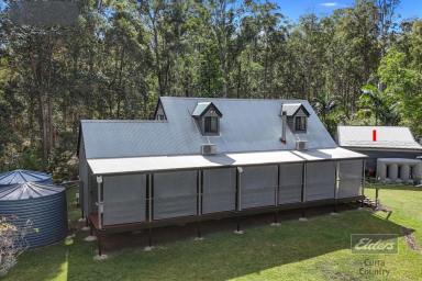 House For Sale - QLD - Bauple - 4650 - A TROPICAL GARDEN ESCAPE  (Image 2)