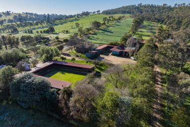 Mixed Farming For Sale - NSW - Wagga Wagga - 2650 - Equine Excellence - Prime Location - Livestock Versatility  (Image 2)
