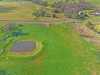 Residential Block For Sale - NSW - Young - 2594 - Live The Life You Want  (Image 2)