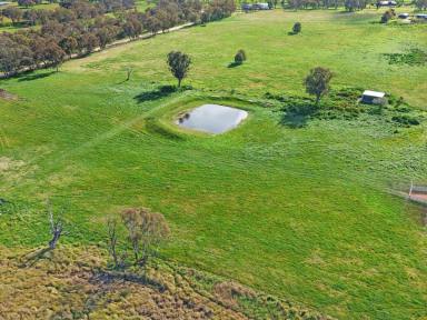 Residential Block For Sale - NSW - Young - 2594 - Live The Life You Want  (Image 2)