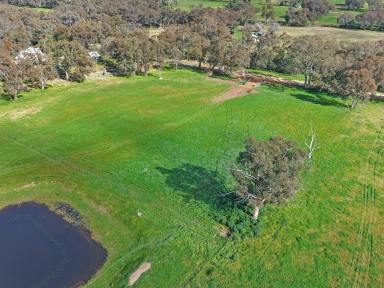 Residential Block For Sale - NSW - Young - 2594 - Build the Lifestyle You Want  (Image 2)