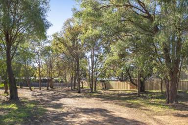 Residential Block For Sale - WA - Margaret River - 6285 - CREATE SOMETHING SPECIAL ON 2,088sqm IN THE HEART OF MARGARET RIVER  (Image 2)