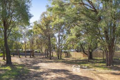 Residential Block For Sale - WA - Margaret River - 6285 - CREATE SOMETHING SPECIAL ON 2,088sqm OF PRIME LAND  (Image 2)