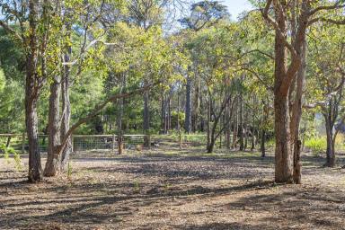 Residential Block For Sale - WA - Margaret River - 6285 - CREATE SOMETHING SPECIAL ON 2,088sqm IN THE HEART OF MARGARET RIVER  (Image 2)