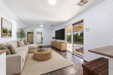 House For Sale - WA - Craigie - 6025 - Fresh, Spacious & Perfectly Positioned! (Image 2)