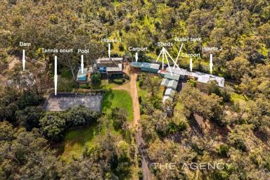 House For Sale - WA - Boya - 6056 - "Greenglades"- Two Homes, Multiple Sheds on 7.5 Acres in Beautiful Boya (Image 2)
