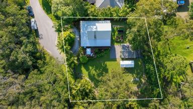 House For Sale - QLD - Macleay Island - 4184 - Private Chalet-Style 3 Bedroom Retreat on a Huge 1,303m² Block with Double Shed! (Image 2)