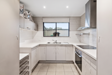 Unit For Sale - VIC - Mildura - 3500 - An Affordable Opportunity in a Convenient Location (Image 2)