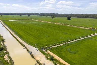Cropping Auction - VIC - Yambuna - 3621 - Echuca District - The river block (Image 2)