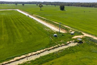 Cropping Auction - VIC - Yambuna - 3621 - Echuca District - The river block (Image 2)