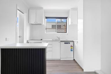 Unit For Lease - QLD - Wilsonton - 4350 - Modern Comfort and Convenience in Prime Wilsonton Location (Image 2)