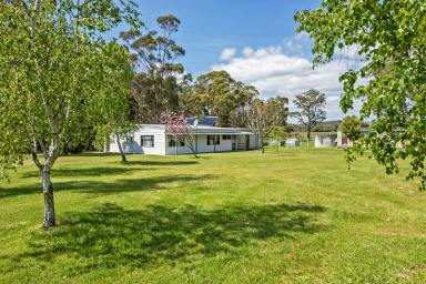 Block of Units For Sale - TAS - Detention - 7321 - Resort Style Accommodation (Image 2)