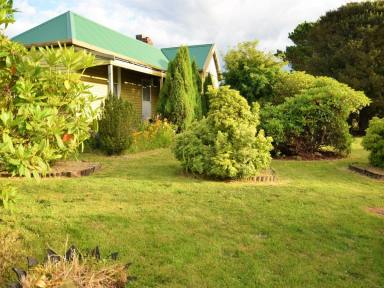 House For Sale - TAS - Waratah - 7321 - Escape to Your Own Piece of Paradise – 38 Vincent Street, Waratah  (Image 2)