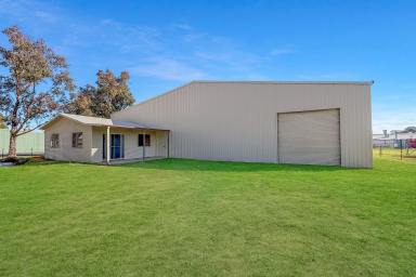 Other (Commercial) For Sale - NSW - Cowra - 2794 - LARGE COMMERCIAL SHED FOR YOUR BUSINESS OR INVESTMENT! (Image 2)