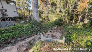 Residential Block For Sale - QLD - Russell Island - 4184 - A Challenge Worth Taking On?  (Image 2)