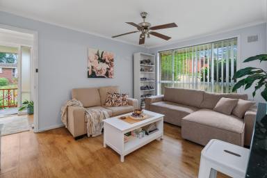House For Lease - NSW - Raymond Terrace - 2324 - NEAT, LOW-MAINTENANCE HOME WITH SIDE ACCESS  (Image 2)