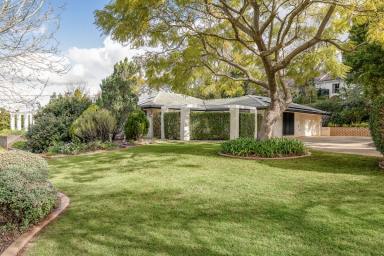 House Auction - QLD - Prince Henry Heights - 4350 - Elevated estate on 2,515m² across two titles with spectacular valley views (Image 2)