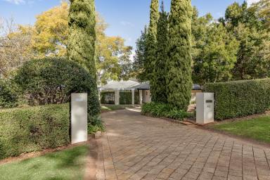 House Auction - QLD - Prince Henry Heights - 4350 - Elevated estate on 2,515m² across two titles with spectacular valley views  (Image 2)