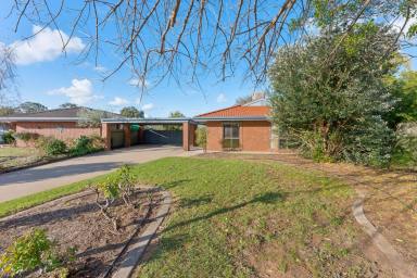 House For Sale - VIC - Mildura - 3500 - ROOM TO GROW IN A QUIET COURT LOCATION (Image 2)
