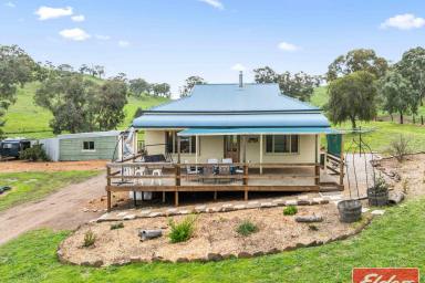 House For Sale - SA - Williamstown - 5351 - "Sugar Loaf Cottage" Privacy and Location on 10 Acres. (Image 2)