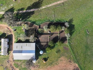Mixed Farming For Sale - NSW - Forbes - 2871 - Take Advantage Of Current Livestock Prices (Image 2)