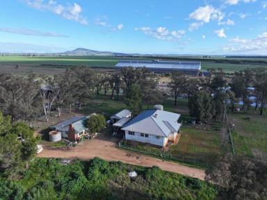 Mixed Farming For Sale - NSW - Forbes - 2871 - Take Advantage Of Current Livestock Prices (Image 2)