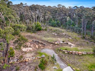 Residential Block For Sale - NSW - Mittagong - 2575 - Blue- Chip Location- 7,024m2 Dream Block  (Image 2)